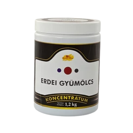 Erdei gyümölcs fagylaltpaszta koncentrátum  m-GEL 1,2 kg