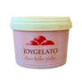 Kép 1/2 - Joygelato Joyfruit őszibarack fagylalt variegátó 3,5 kg